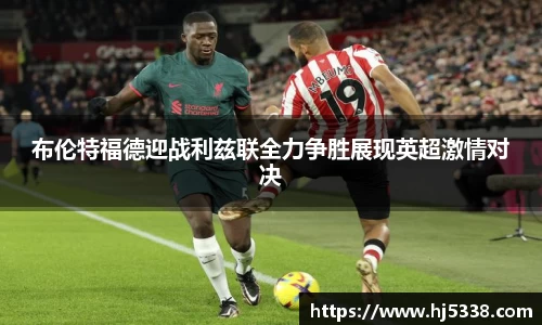 BB贝博艾弗森官网